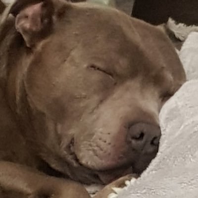 valerie28297585's profile picture. Genealogist using DNA and everything else 👀