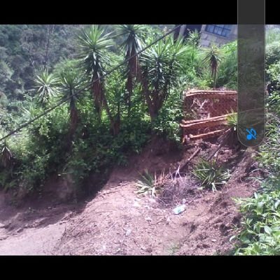 jcvelas72591926's profile picture. 