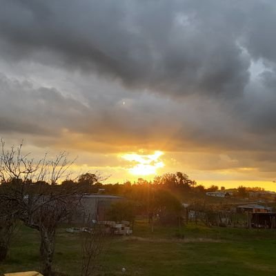 Clegars41's profile picture. 