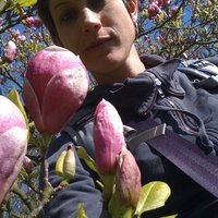 kate coronges (@coronges) 's Twitter Profile