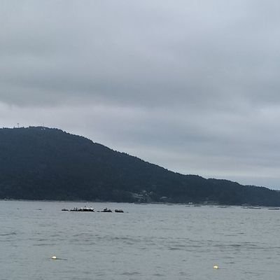 bread_2022's profile picture. よろしくお願いします！