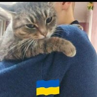 ODESSA ANIMAL SHELTER(@Odessa_Sheltero) 's Twitter Profile Photo