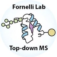 FornelliLab (@fornelli_lab) 's Twitter Profile Photo FornelliLab (@fornelli_lab) 's Twitter Profile Photo