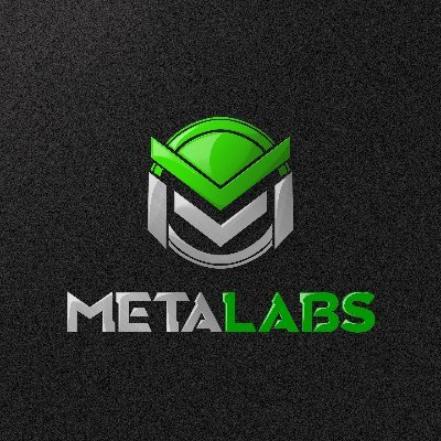 Metaverse Development Studio. We integrate brands, IPs, & projects into the metaverse. Instagram:MetaLabsOfficial