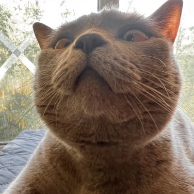 _b_'s profile picture. Plan B…