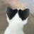 lvngido's profile image