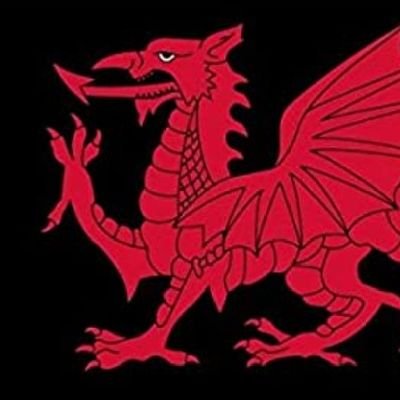 WelshDragonHQ Profile Picture