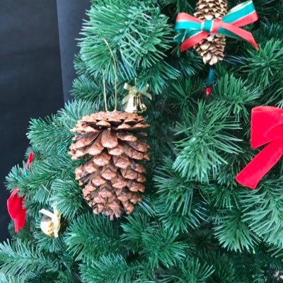 ayumi_shogakko's profile picture. 働き方模索中。小さいこども3人。育児短時間勤務取得経験あり。複数の自治体で教員経験あり。教員の働き方、転職興味あり。無言フォロー失礼します。