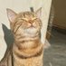 htdg (@hehehe12146445) Twitter profile photo htdg (@hehehe12146445) Twitter profile photo
