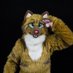 Sarky (@sarkythecat) Twitter profile photo Sarky (@sarkythecat) Twitter profile photo