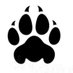 Der Gepardkommandant (@gepardtatze) Twitter profile photo Der Gepardkommandant (@gepardtatze) Twitter profile photo