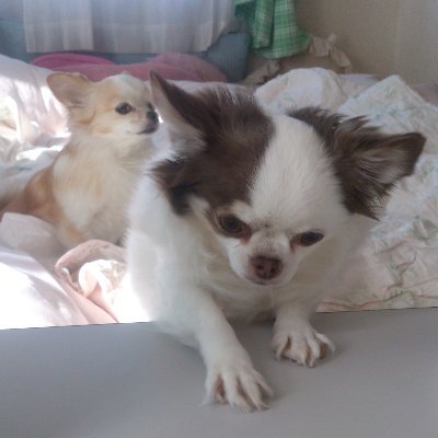 tTiVHdvrLjarUt1's profile picture. 