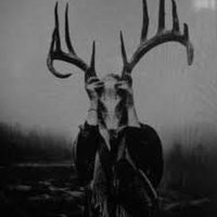 Dark_Sorcerer (@csarmuo25616212) 's Twitter Profile