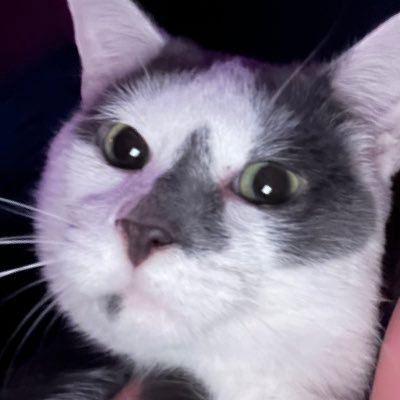 Jamesyさんのプロフィール画像