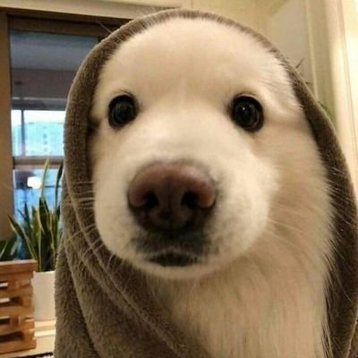 dalkom_sora's profile picture. May your soul rest in peace~^^

'I&B100'

Only Baekhyun and his related moments will be here. If you don't like, pls leave ;) 나가주세요