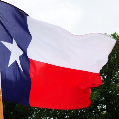 Here to help guide you through the Texas Independence Trail Region.  Come experience the colorfully diverse history of this scenic trail & destination.