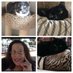 Marcia Bunney's Kittie Committee (@MarciasKittyCom) Twitter profile photo