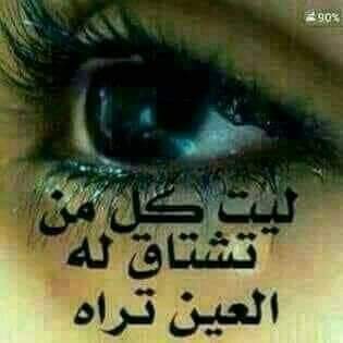 afgftf4's profile picture. 