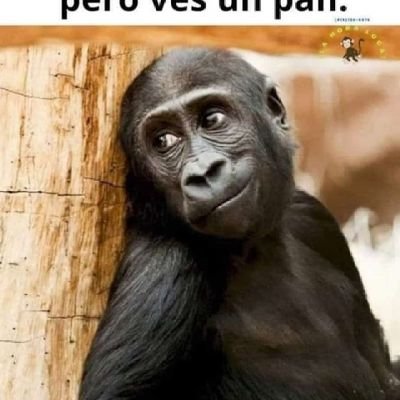No me hago responsable de lo q entiendas...
Ni olvido
Ni perdón...