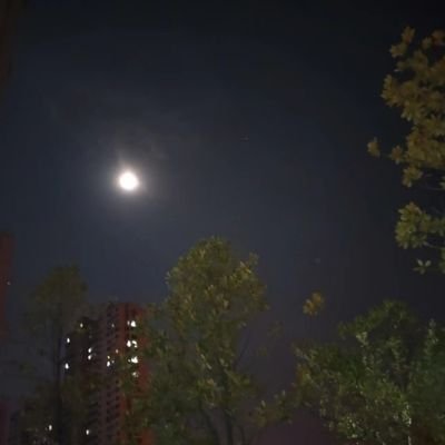 rentaozls's profile picture. 生命的意义，需要不断追寻！
运动、思考使你活着不像一头猪