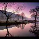 Trecia Johnson - @enHisservice - Twitter