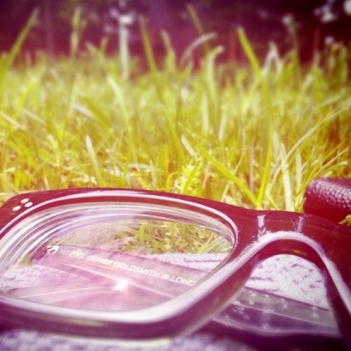 anjalilewis's profile picture. being curious everyday