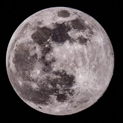 13th_fullmoon's profile picture. 