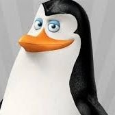 Kowalski_24_ Profile Picture