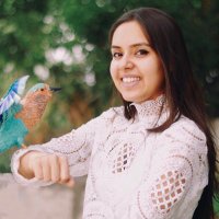 Niharika Rajput (@niharika_art) 's Twitter Profile