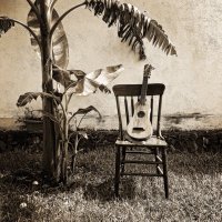 Víctor Gayol (@victor_gayol) 's Twitter Profile