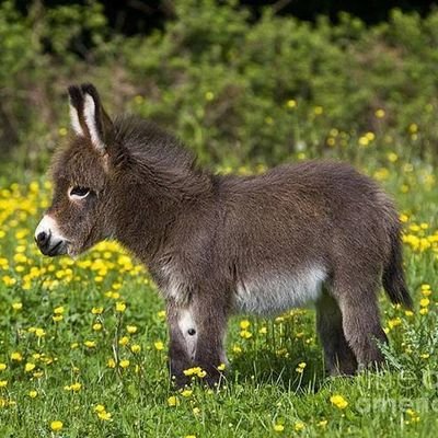 ryuhei0522's profile picture. 何かを始めるのに”揺るぎない意志”とか”崇高な動機”なんて無くていい