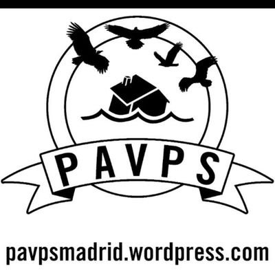 Pavps_Madrid Profile Picture