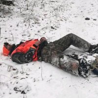 Bow Hunter ๐บ๐ธ (@bowhunter247) 's Twitter Profile