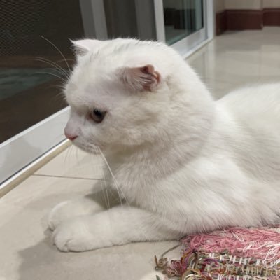 fkaonn's profile picture. 