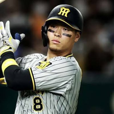 阪神タイガースファンです。応援している選手は佐藤輝明選手です。