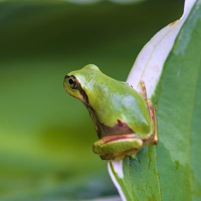 laccorith's profile picture. 中小企業診断士（イチゴ世代)。
二児の父。公的支援機関勤務。危険物取扱者甲種。QC検定2級。プレス機械主任作業者。知的財産検定2級。基本情報技術者。ふぞろい16参加(やーみん名義)。

MTG/ドラゴンズ/ランニング/駅メモ/インデックス投資/株主優待/eテレ/ダリア荘/有馬かな/サモラン/