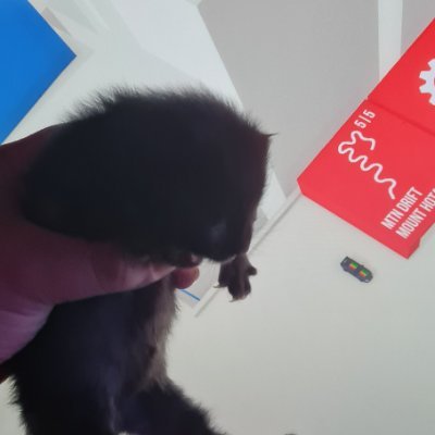 nco_rz's profile picture. 