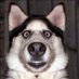 Alvur (@olenalvar) Twitter profile photo Alvur (@olenalvar) Twitter profile photo