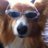 rush_miwa628's profile image