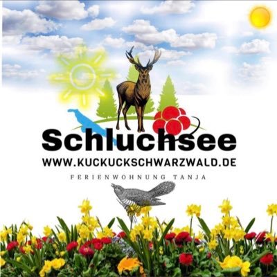 fewoschluchsee Profile Picture