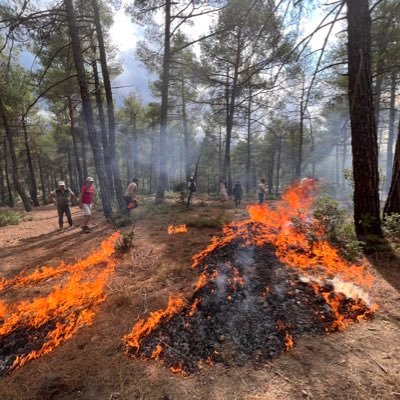 The 9th conference on the effects of forest fire on soil properties will take place in 2023 to share knowledge and promote scientific and management findings