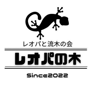 レオパと流木の会 【レオパの木】 レオパに合う木を求めて… まだまだ初めたばかりですが レオパって木登りが好きなんですよね〜♪ なるべく広いケージに流木を入れてみるのはどうでしょうか？ 爬虫類🦎🦎🦎レオパ・ニシアフ・クレス・アカメカブト・マツカサ・ササクレ・ペトリ・熱帯魚🐠