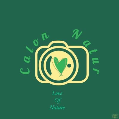 Wanting to bring my joy of nature and wildlife into peoples lives
Please take a look
https://t.co/AuGhveaPez