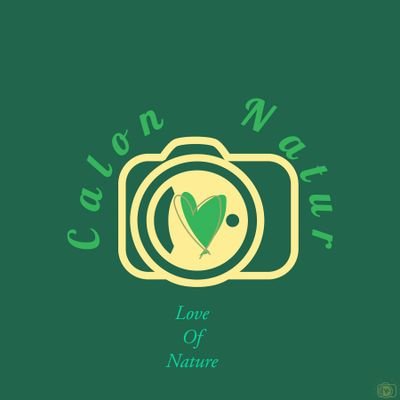 CalonNatur Profile Picture