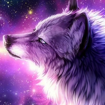 tradersamen's profile picture. ⚙️