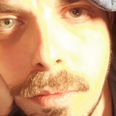 meloschiaccio's profile picture. 