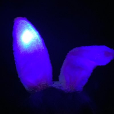 piichu500's profile picture. music maker, but mostly a dreamer (she/her) 20