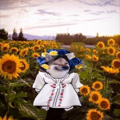 UApax4UA's profile picture. ardore a divenir del mondo esperto