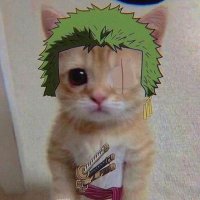 Ultrazϟ (@ultraz_toxic) 's Twitter Profile