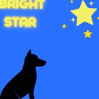 TheBrightStarStudio (@thebrightstars1) 's Twitter Profile Photo TheBrightStarStudio (@thebrightstars1) 's Twitter Profile Photo